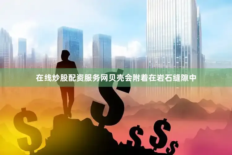 在线炒股配资服务网贝壳会附着在岩石缝隙中