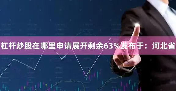 杠杆炒股在哪里申请展开剩余63%发布于：河北省