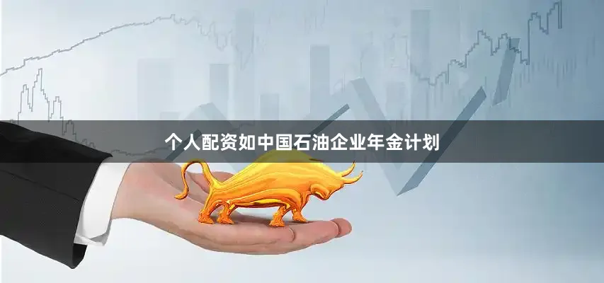 个人配资如中国石油企业年金计划