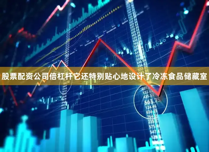 股票配资公司倍杠杆它还特别贴心地设计了冷冻食品储藏室
