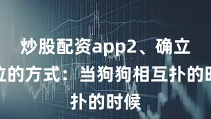 炒股配资app2、确立地位的方式：当狗狗相互扑的时候