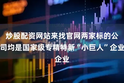 炒股配资网站来找官网两家标的公司均是国家级专精特新“小巨人”企业